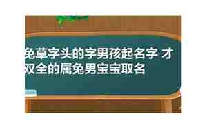 三月份的兔宝宝